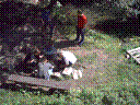 PICT0005.JPG