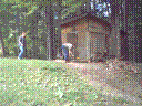 PICT0016.JPG