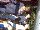 PICT0056.JPG