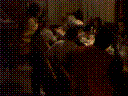 PICT0113.JPG